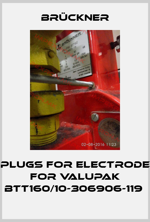 Brückner-plugs for electrode for Valupak BTT160/10-306906-119 price