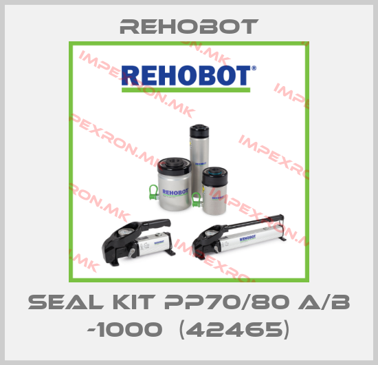 Rehobot-SEAL KIT PP70/80 A/B -1000  (42465)price