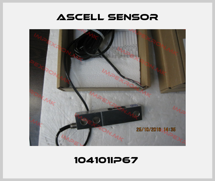 Ascell Sensor-104101IP67 price
