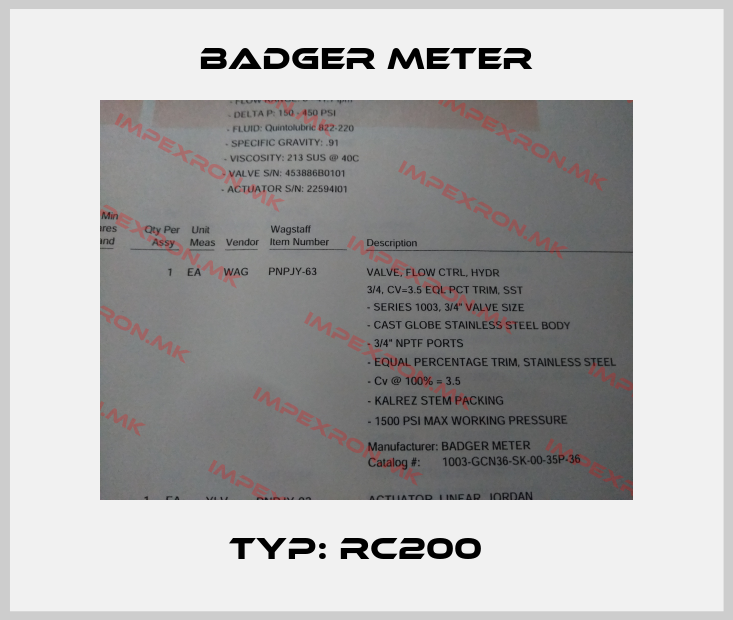 Badger Meter-Typ: RC200  price