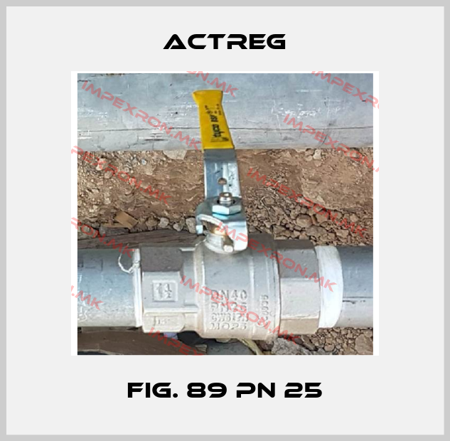 Actreg-Fig. 89 PN 25price