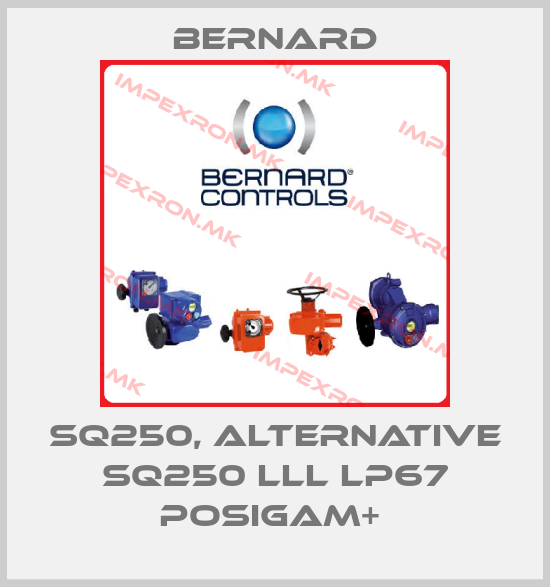 Bernard-SQ250, alternative SQ250 lll lP67 POSIGAM+ price