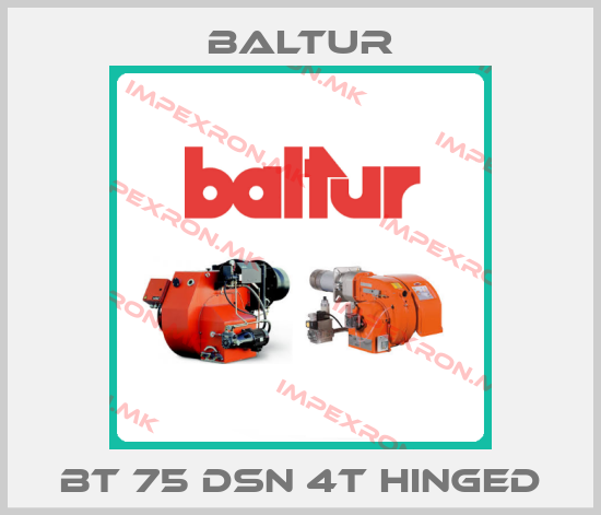 Baltur-BT 75 DSN 4T HINGEDprice