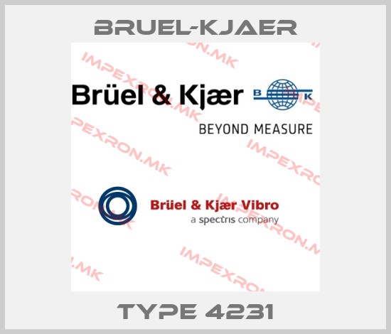 Bruel-Kjaer-Type 4231price
