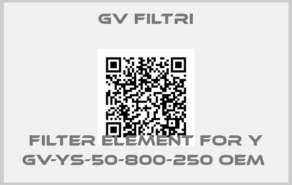 GV Filtri-Filter element for Y GV-YS-50-800-250 oem price