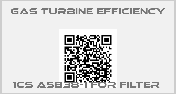 GAS TURBINE EFFICIENCY-1CS A5838-1 for filter price