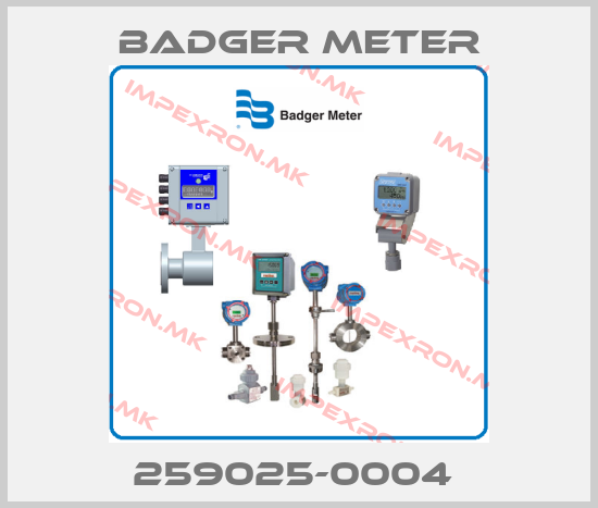 Badger Meter-259025-0004 price