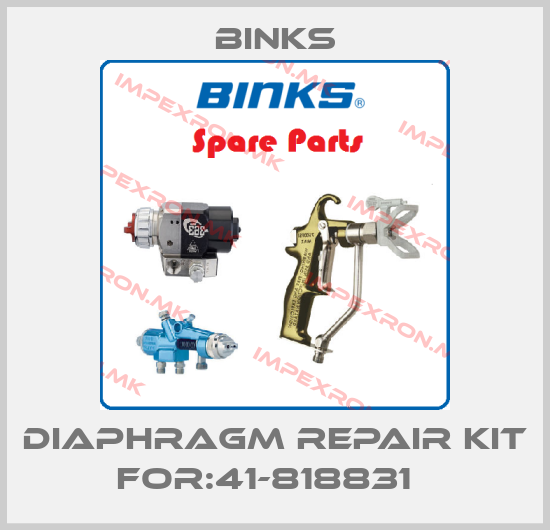 Binks-Diaphragm Repair Kit For:41-818831  price