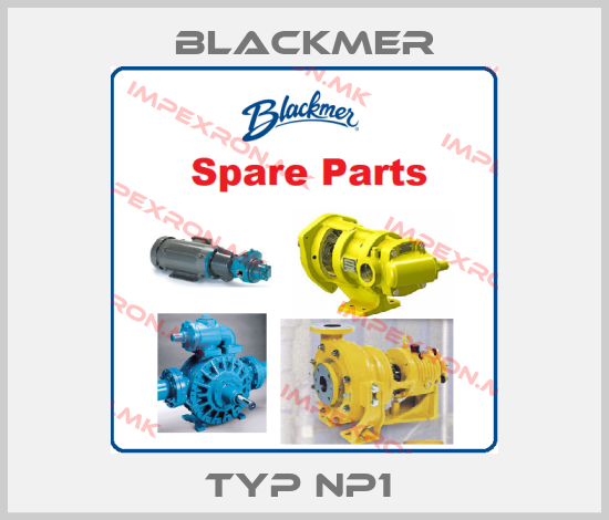 Blackmer-Typ NP1 price