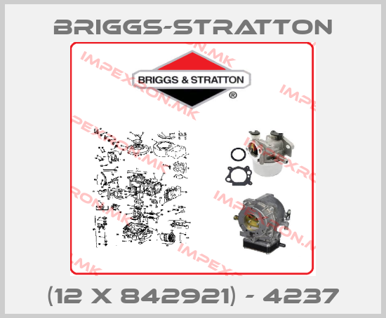 Briggs-Stratton Europe