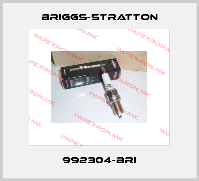 Briggs-Stratton-992304-BRIprice