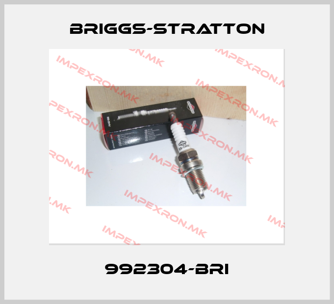 Briggs-Stratton Europe