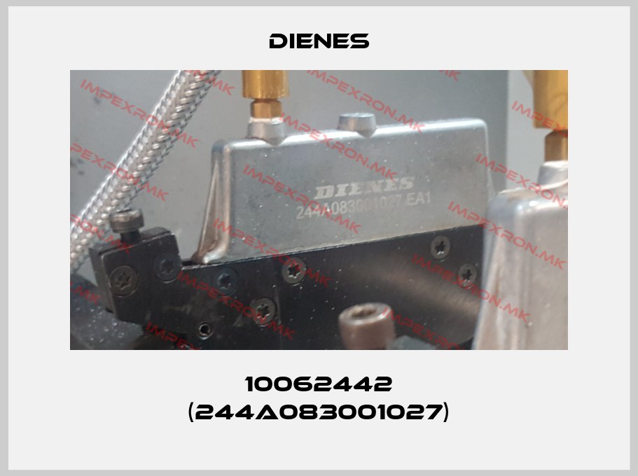 Dienes-10062442 (244A083001027)price