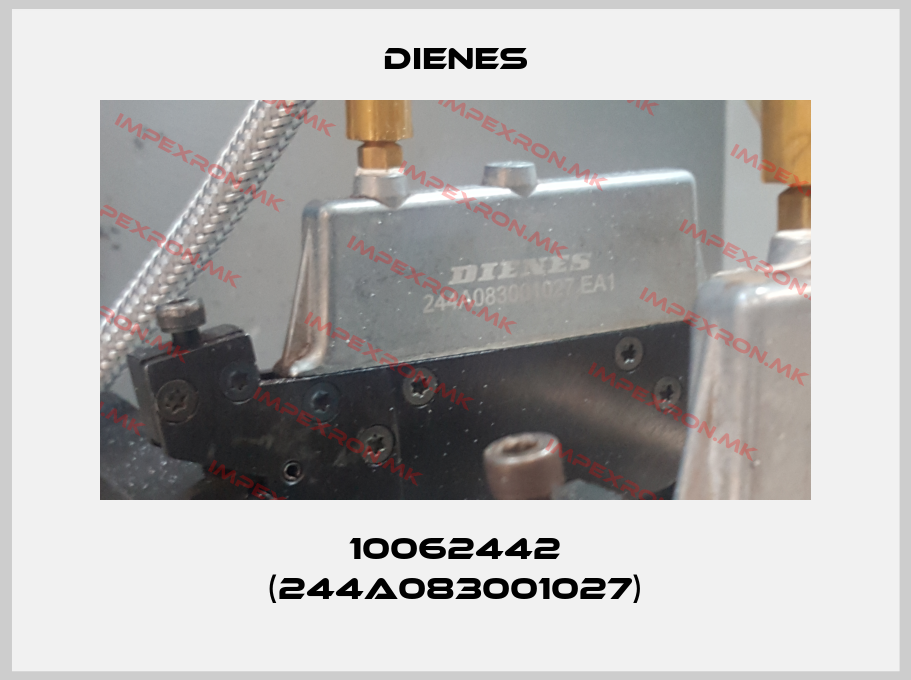 Dienes Europe