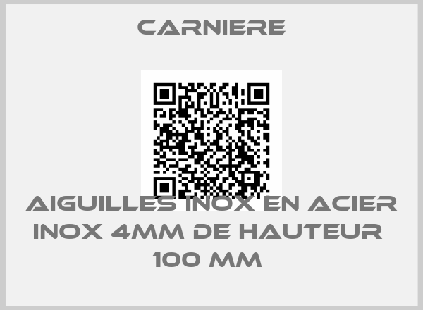 Carniere-AIGUILLES INOX EN ACIER INOX 4MM DE HAUTEUR  100 MM price