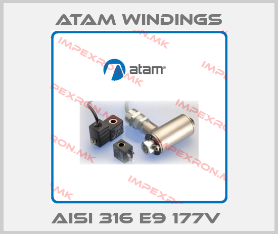Atam Windings-AISI 316 E9 177V price