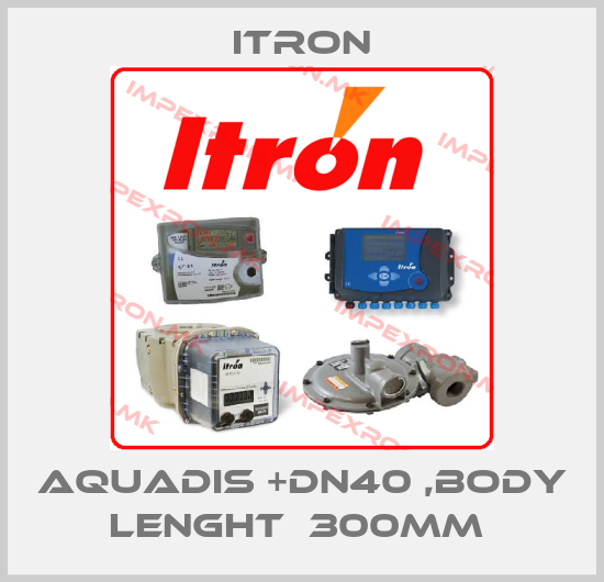 Itron-AQUADIS +DN40 ,BODY LENGHT  300MM price