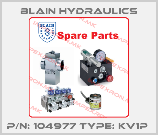 Blain Hydraulics-P/N: 104977 Type: KV1P price