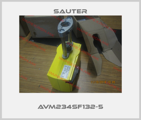 Sauter-AVM234SF132-5price