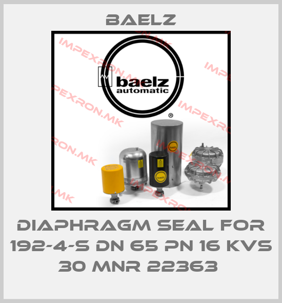 Baelz-Diaphragm seal for 192-4-S DN 65 PN 16 KVS 30 MNR 22363 price