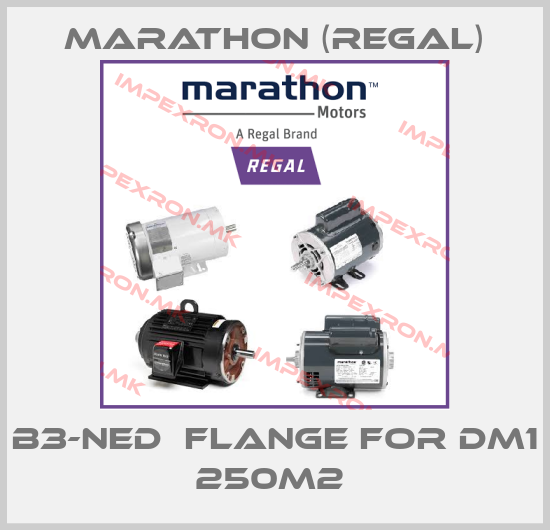 Marathon (Regal)-B3-NED  flange for DM1 250M2 price