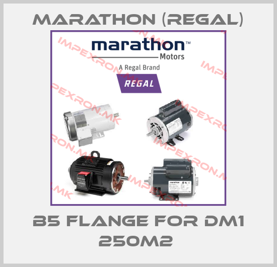 Marathon (Regal)-B5 flange for DM1 250M2 price