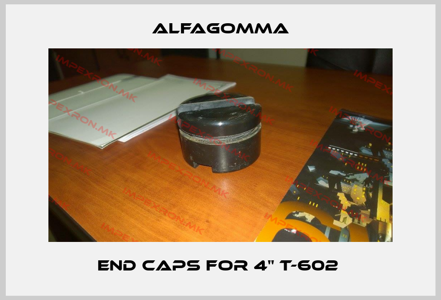 Alfagomma-End Caps for 4" T-602 price