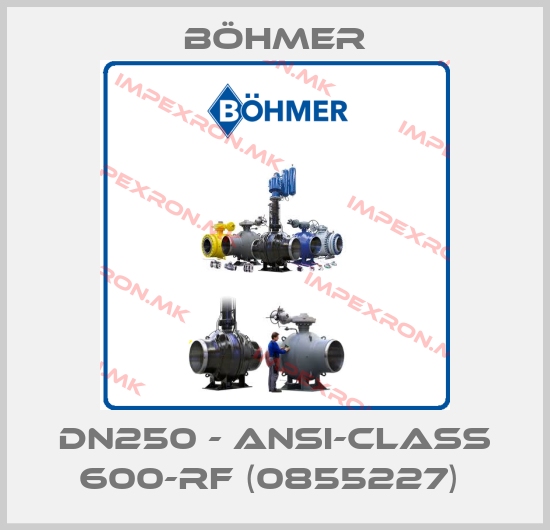 Böhmer-DN250 - ANSI-CLASS 600-RF (0855227) price