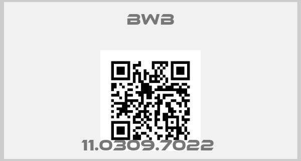 Bwb-11.0309.7022 price