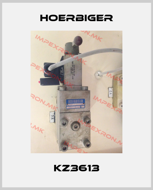 Hoerbiger-KZ3613price