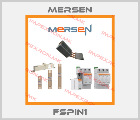 Mersen-FSPIN1price