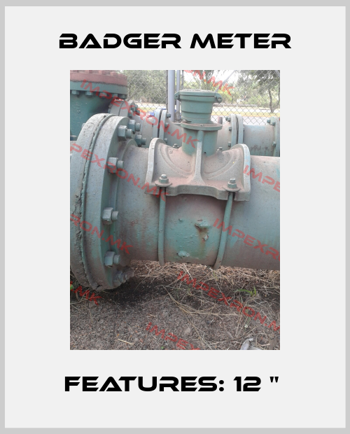 Badger Meter-FEATURES: 12 " price