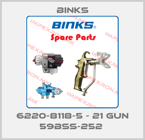 Binks-6220-8118-5 - 21 GUN 59BSS-252 price