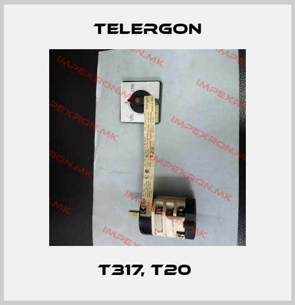 Telergon-T317, T20 price