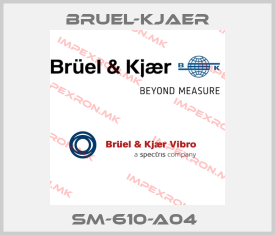 Bruel-Kjaer-SM-610-A04 price