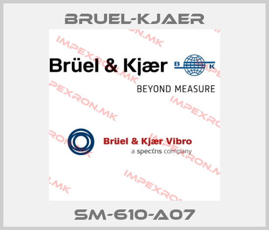 Bruel-Kjaer-SM-610-A07price