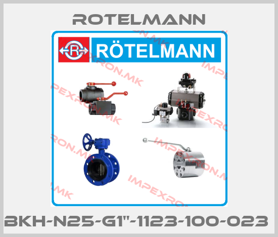 Rotelmann-BKH-N25-G1"-1123-100-023 price