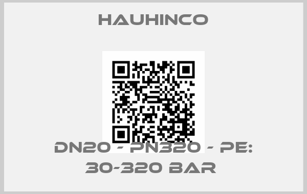HAUHINCO-DN20 - PN320 - PE: 30-320 Bar price