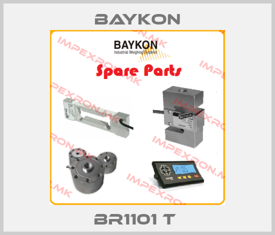 Baykon-BR1101 t price