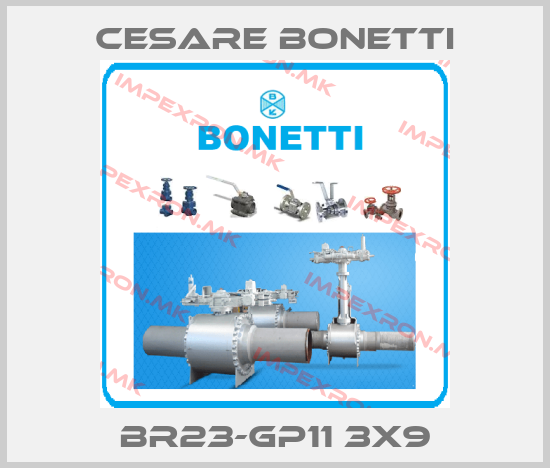 Cesare Bonetti-BR23-GP11 3x9price