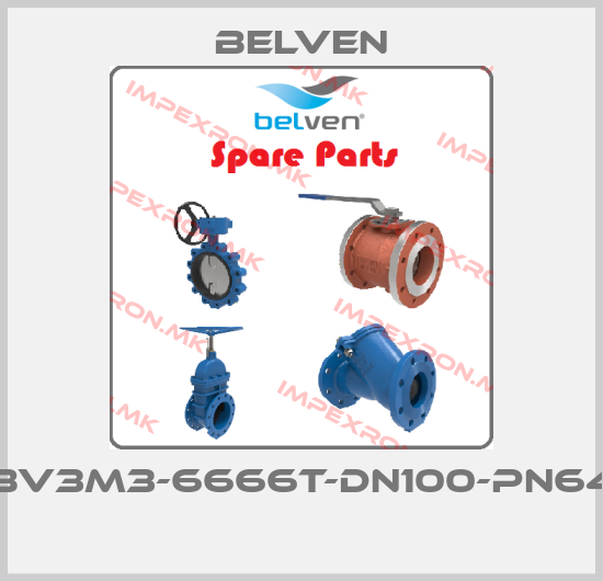Belven-BV3M3-6666T-DN100-PN64 price