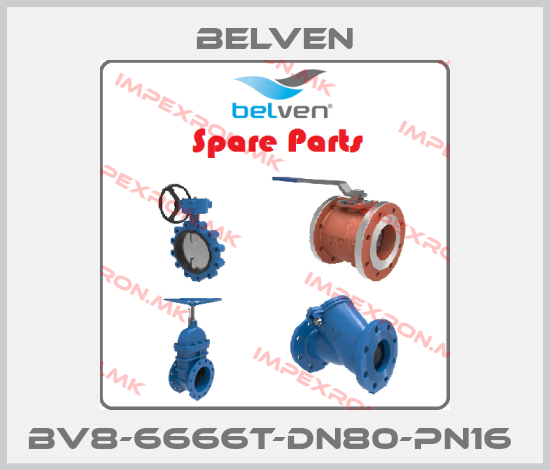 Belven-BV8-6666T-DN80-PN16 price