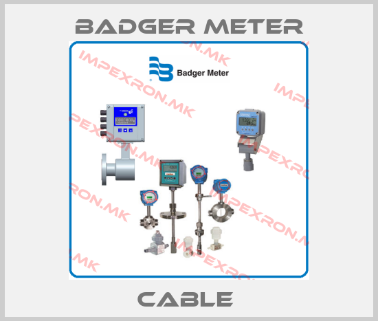 Badger Meter-CABLE price