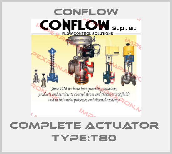 CONFLOW-COMPLETE ACTUATOR  TYPE:T80 price
