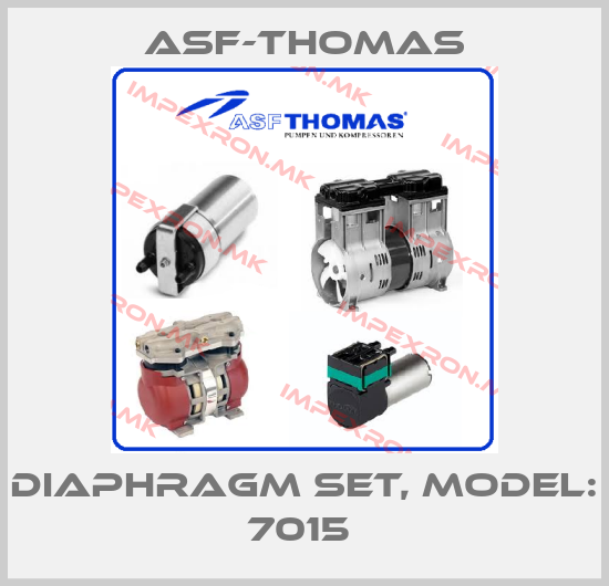 ASF-Thomas Europe