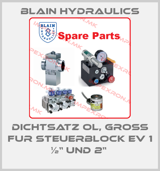 Blain Hydraulics Europe