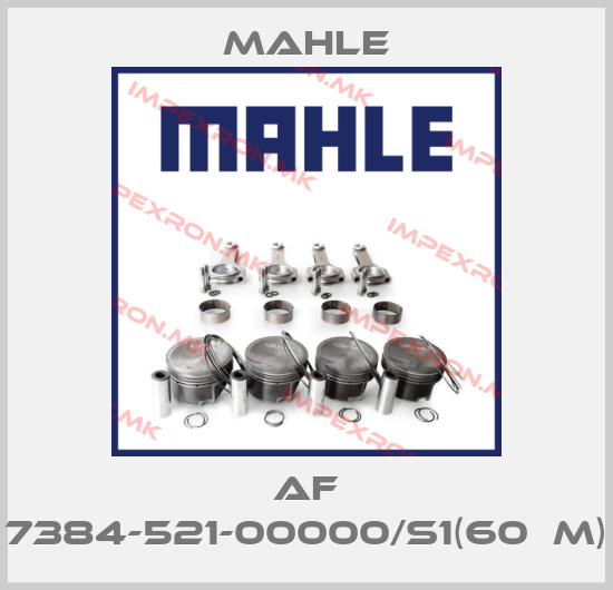MAHLE-AF 7384-521-00000/S1(60µm)price