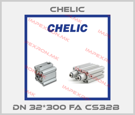 Chelic-DN 32*300 FA CS32B price