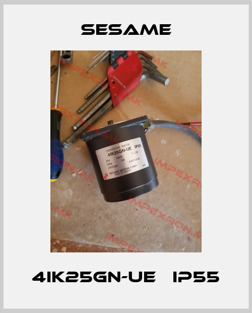 Sesame-4IK25GN-UE   IP55price