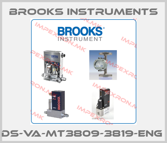 Brooks Instruments-DS-VA-MT3809-3819-ENG price